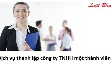 Dịch vụ thành lập công ty TNHH một thành viên