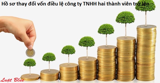 Hồ sơ thay đổi vốn điều lệ công ty TNHH hai thành viên trở lên (nguồn internet)